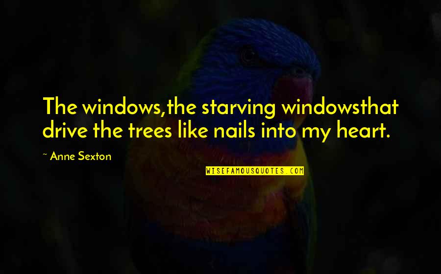 Horndog Quotes By Anne Sexton: The windows,the starving windowsthat drive the trees like