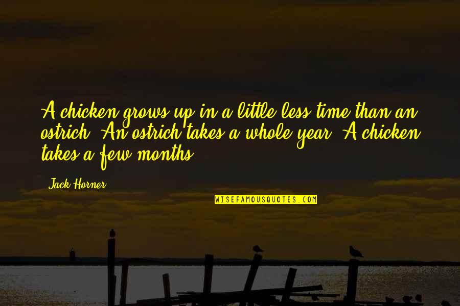 Horner Quotes By Jack Horner: A chicken grows up in a little less Horner Quotes By Jack Horner: A chicken grows up in a little less