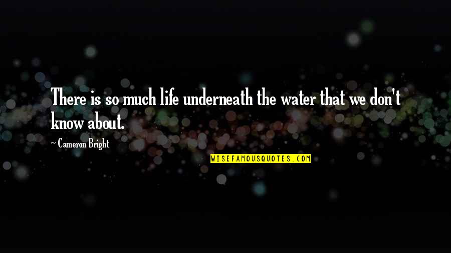 Hornerova Quotes By Cameron Bright: There is so much life underneath the water Hornerova Quotes By Cameron Bright: There is so much life underneath the water