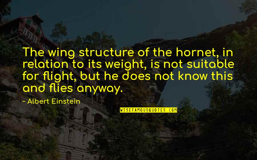 Hornet Best Quotes By Albert Einstein: The wing structure of the hornet, in relation