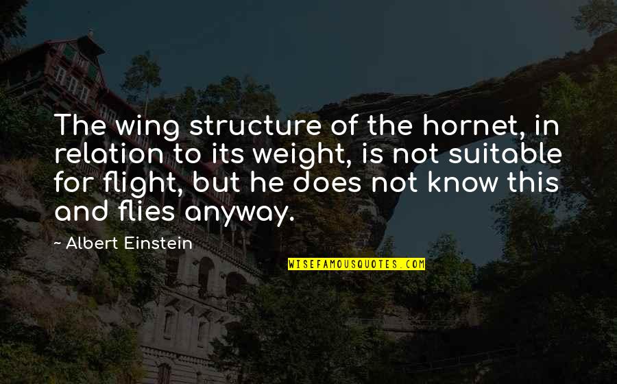 Hornet Quotes By Albert Einstein: The wing structure of the hornet, in relation