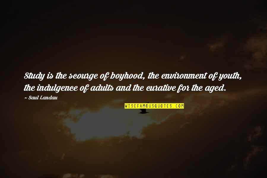 Hornet's Nest Movie Quotes By Saul Landau: Study is the scourge of boyhood, the environment Hornet's Nest Movie Quotes By Saul Landau: Study is the scourge of boyhood, the environment