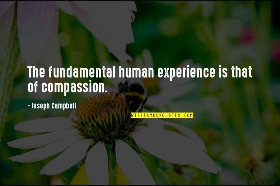 Hornish Arrest Quotes By Joseph Campbell: The fundamental human experience is that of compassion. Hornish Arrest Quotes By Joseph Campbell: The fundamental human experience is that of compassion.