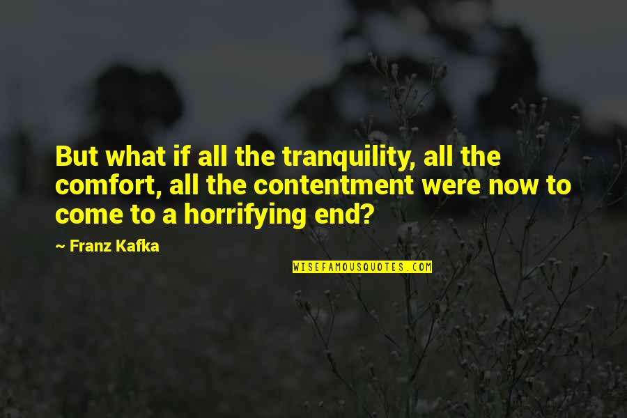 Horrifying Quotes By Franz Kafka: But what if all the tranquility, all the