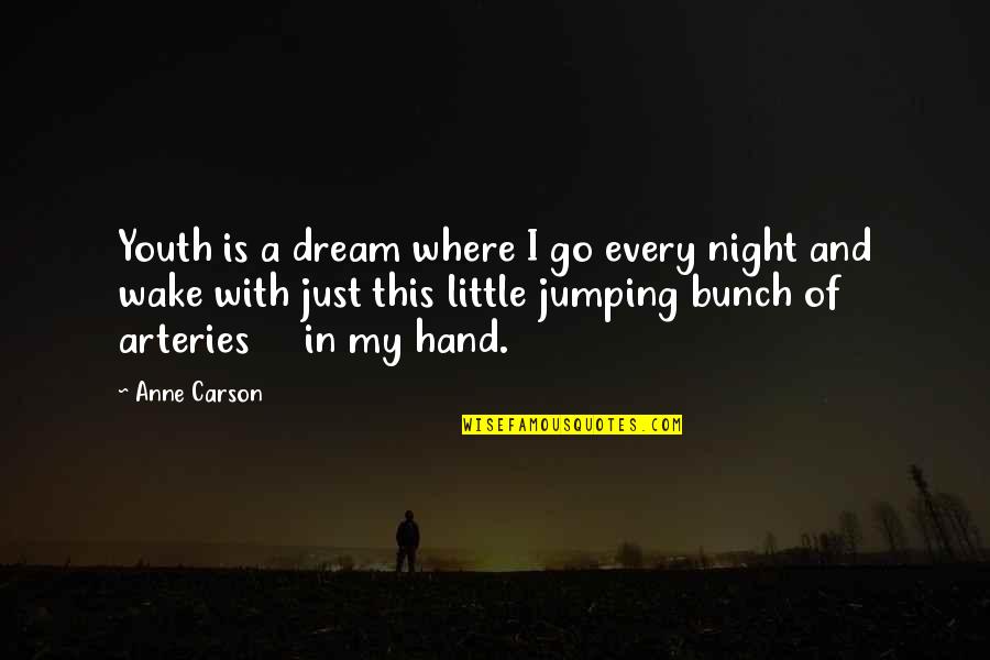 Horror Theme Quotes By Anne Carson: Youth is a dream where I go every