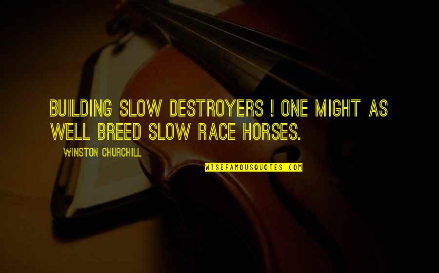 Horse Breed Quotes By Winston Churchill: Building slow destroyers ! One might as well