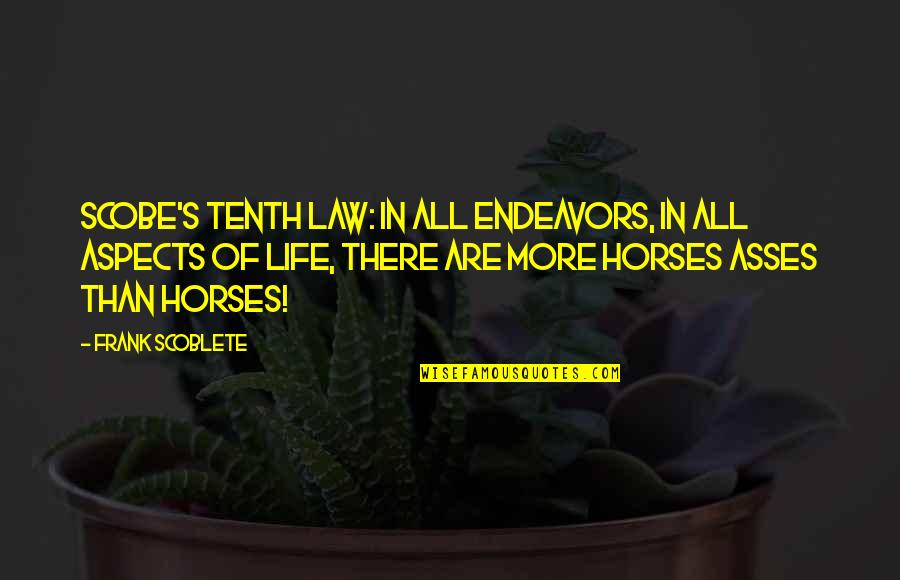 Horse Gambling Quotes By Frank Scoblete: Scobe's Tenth Law: In all endeavors, in all