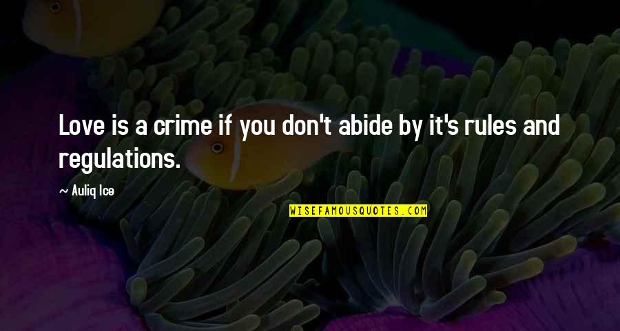 Horse Lover Quotes By Auliq Ice: Love is a crime if you don't abide