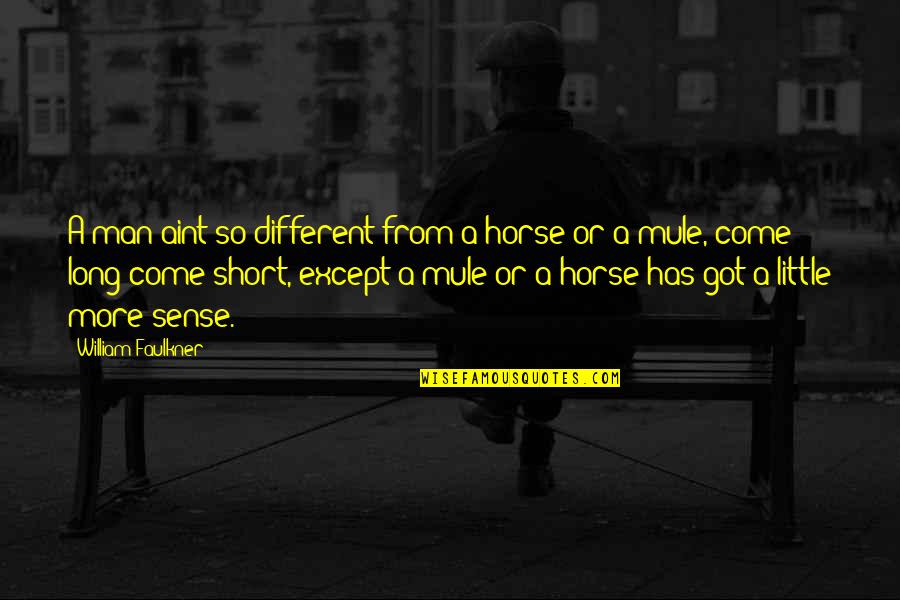 Horse Sense Quotes By William Faulkner: A man aint so different from a horse
