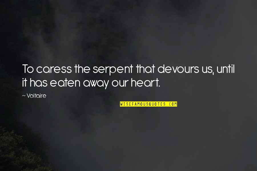 Horseback Riding Falling Quotes By Voltaire: To caress the serpent that devours us, until