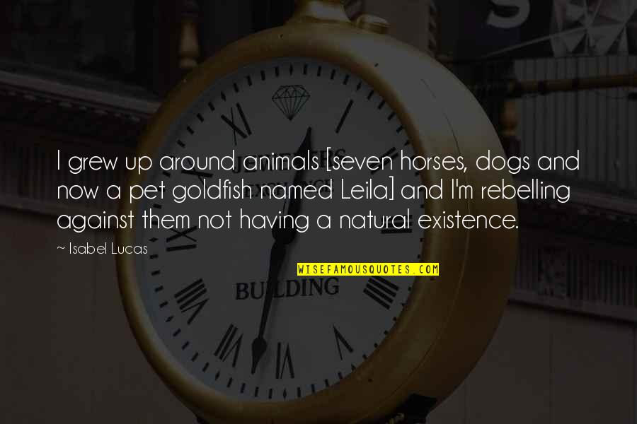 Horses And Dogs Quotes By Isabel Lucas: I grew up around animals [seven horses, dogs