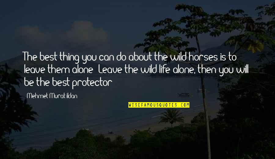 Horses And Life Quotes By Mehmet Murat Ildan: The best thing you can do about the