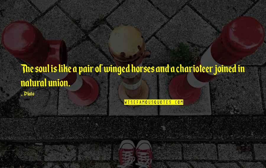 Horses And Soul Quotes By Plato: The soul is like a pair of winged