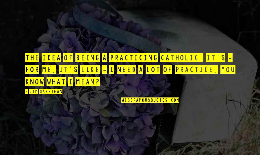 Horses And Trust Quotes By Jim Gaffigan: The idea of being a practicing Catholic, it's