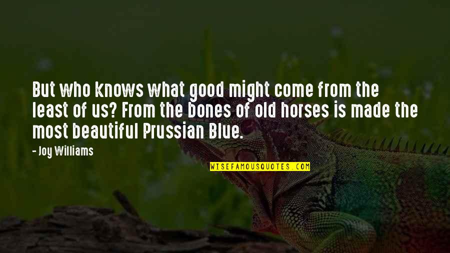 Horses Quotes By Joy Williams: But who knows what good might come from