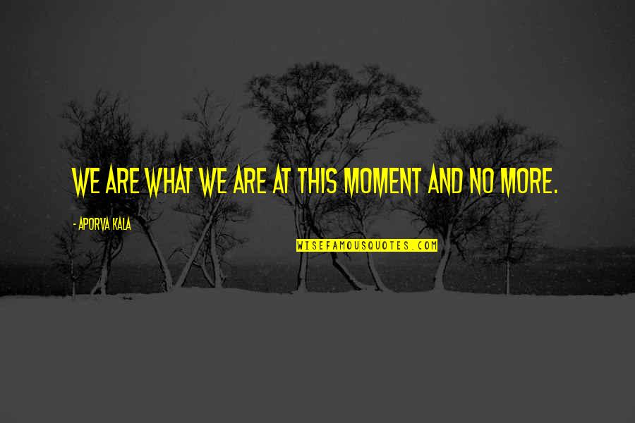 Horseshoe Bend Quotes By Aporva Kala: We are what we are at this moment
