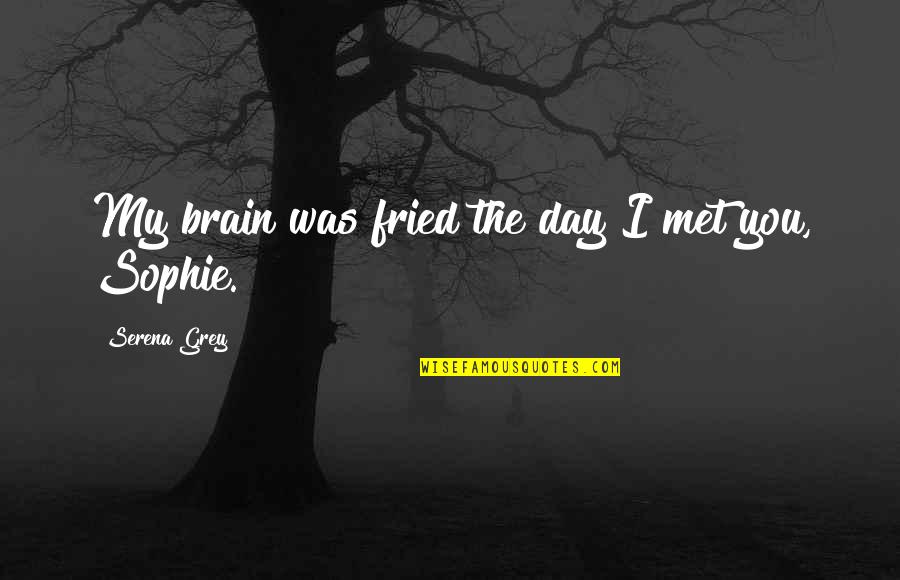 Horseshoe Crabs Quotes By Serena Grey: My brain was fried the day I met Horseshoe Crabs Quotes By Serena Grey: My brain was fried the day I met