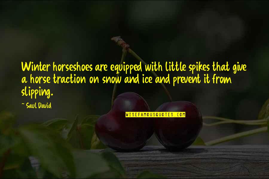 Horseshoes Quotes By Saul David: Winter horseshoes are equipped with little spikes that
