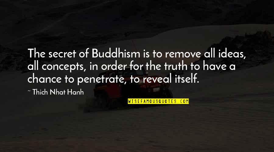 Horsewoman Quotes By Thich Nhat Hanh: The secret of Buddhism is to remove all