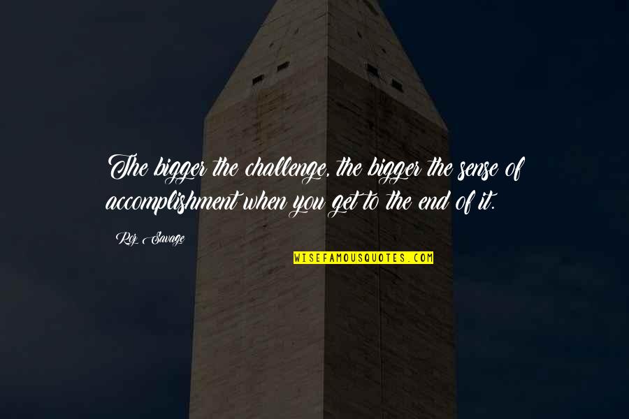 Hortensia Snoeien Quotes By Roz Savage: The bigger the challenge, the bigger the sense