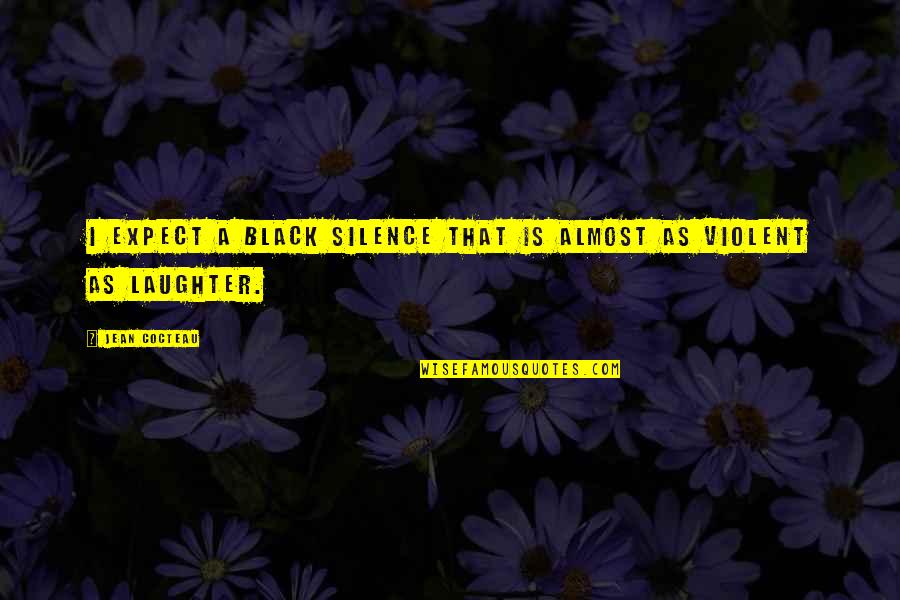 Hortus Eystettensis Quotes By Jean Cocteau: I expect a black silence that is almost