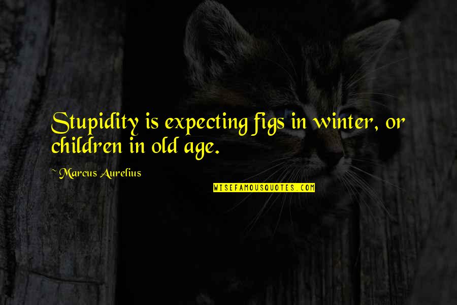 Hosaka Yuriko Quotes By Marcus Aurelius: Stupidity is expecting figs in winter, or children