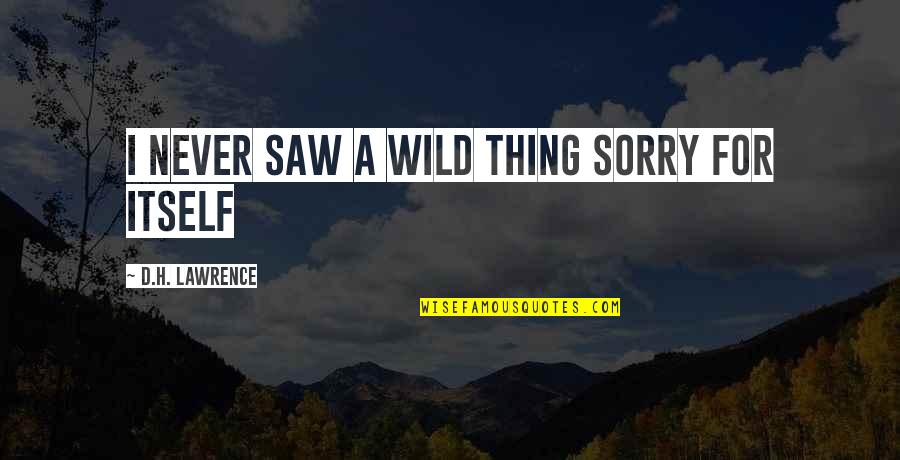 Hosannas Quotes By D.H. Lawrence: I never saw a wild thing sorry for