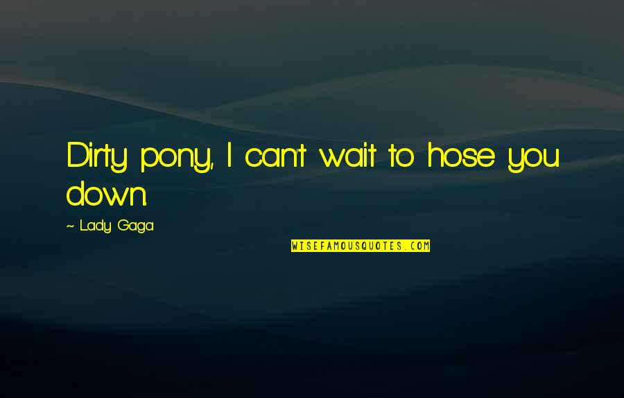 Hose Quotes By Lady Gaga: Dirty pony, I can't wait to hose you