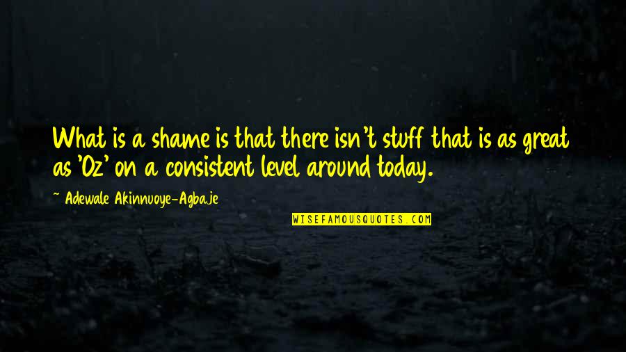 Hospice Founder Dame Cicely Saunders Quotes By Adewale Akinnuoye-Agbaje: What is a shame is that there isn't Hospice Founder Dame Cicely Saunders Quotes By Adewale Akinnuoye-Agbaje: What is a shame is that there isn't