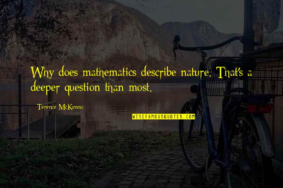 Hospice Social Work Quotes By Terence McKenna: Why does mathematics describe nature. That's a deeper