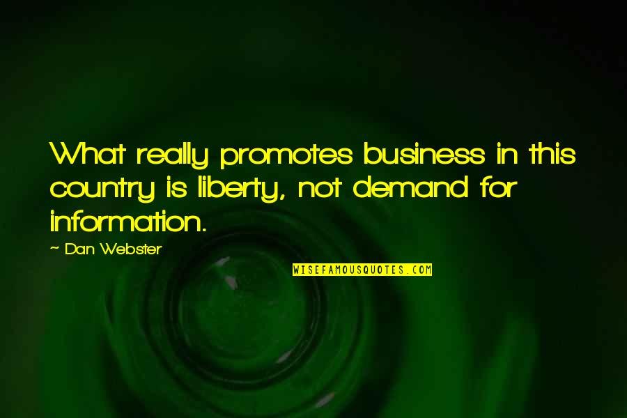 Hospice Social Workers Quotes By Dan Webster: What really promotes business in this country is