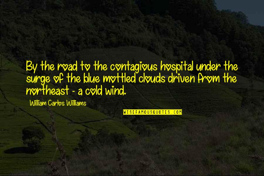 Hospital Quotes By William Carlos Williams: By the road to the contagious hospital under