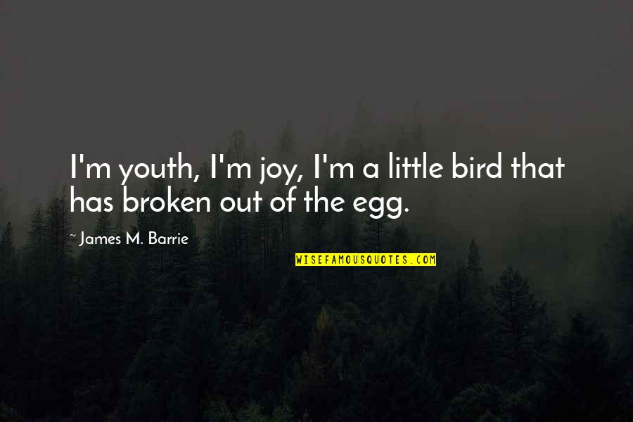 Hospitalized Quotes By James M. Barrie: I'm youth, I'm joy, I'm a little bird