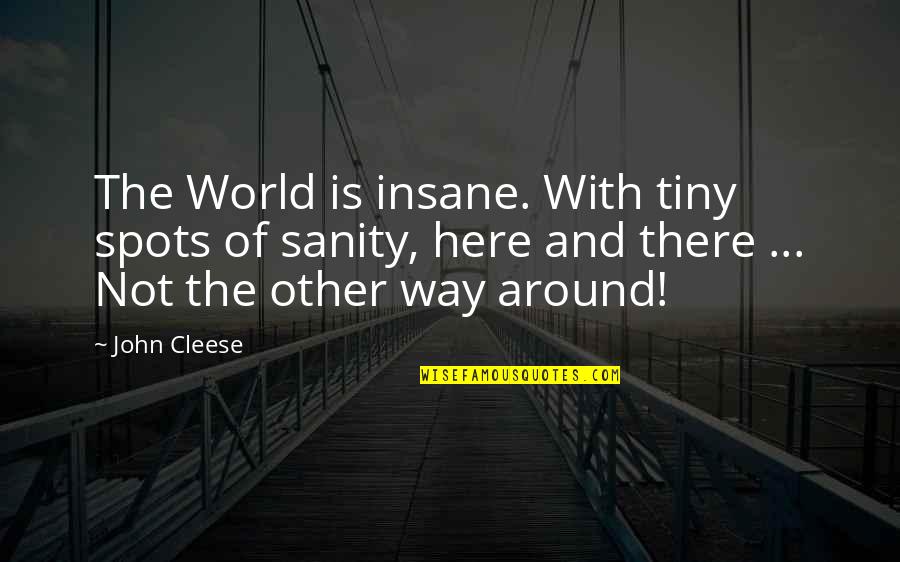 Hostile Relationship Quotes By John Cleese: The World is insane. With tiny spots of