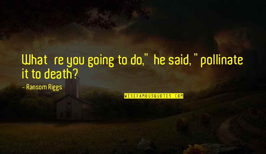 Hostiles Quotes By Ransom Riggs: What're you going to do," he said, "pollinate