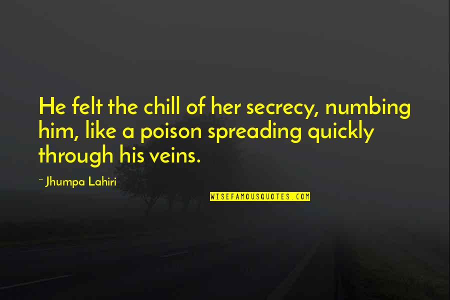 Hot And Bothered Funny Quotes By Jhumpa Lahiri: He felt the chill of her secrecy, numbing