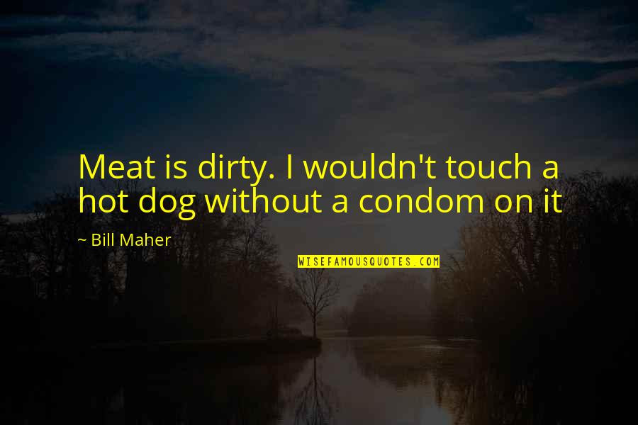 Hot And Dirty Quotes By Bill Maher: Meat is dirty. I wouldn't touch a hot