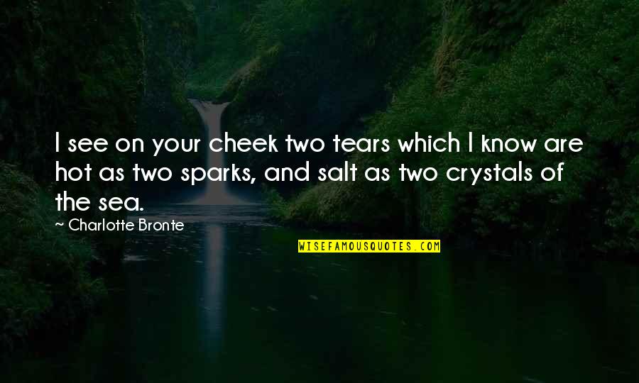 Hot As Quotes By Charlotte Bronte: I see on your cheek two tears which