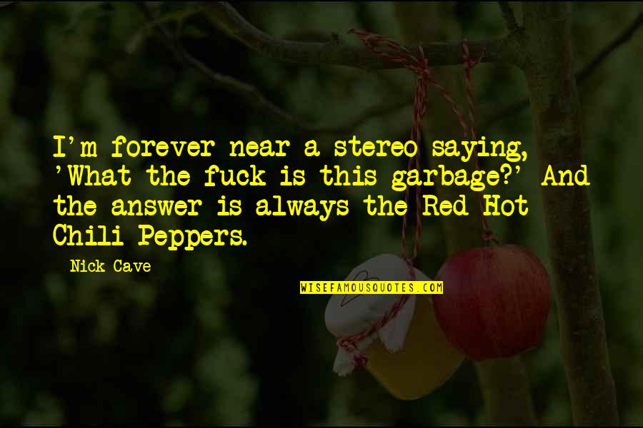 Hot Chili Peppers Quotes By Nick Cave: I'm forever near a stereo saying, 'What the