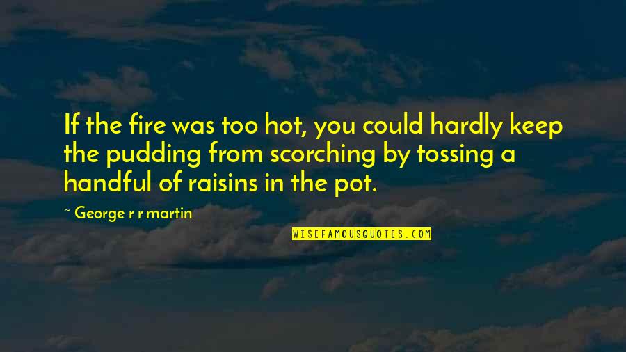 Hot Fire Quotes By George R R Martin: If the fire was too hot, you could