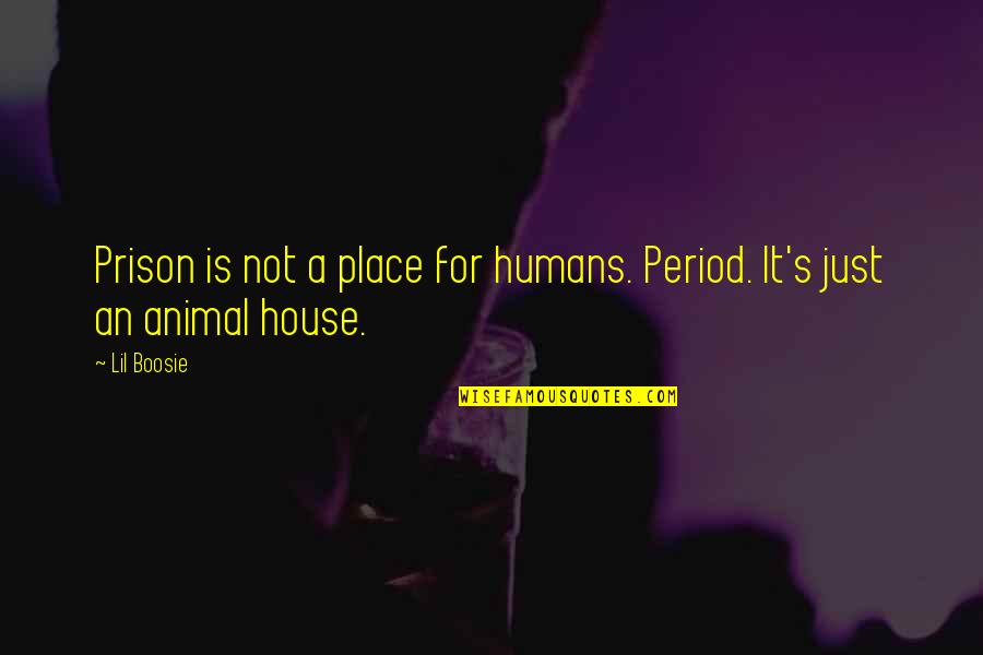 Hot Hunk Quotes By Lil Boosie: Prison is not a place for humans. Period.