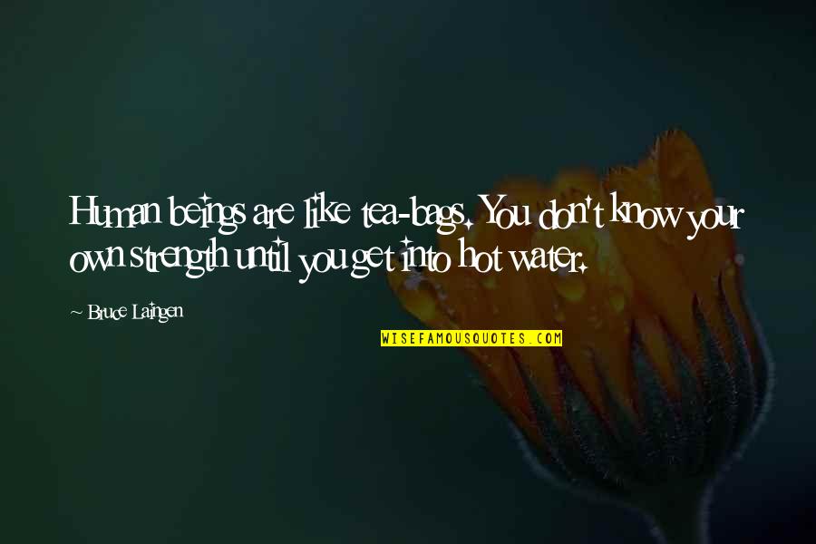 Hot Like Quotes By Bruce Laingen: Human beings are like tea-bags. You don't know