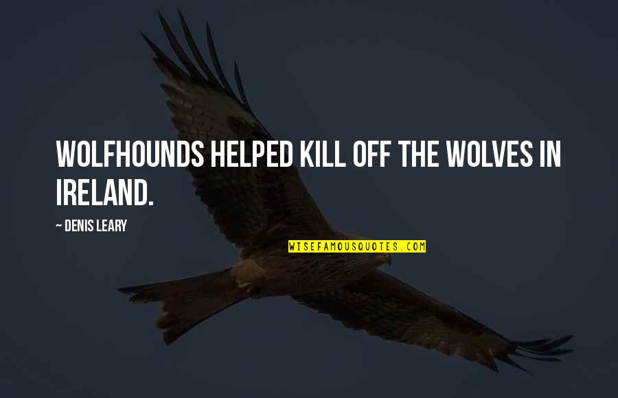 Hot Looking Quotes By Denis Leary: Wolfhounds helped kill off the wolves in Ireland.
