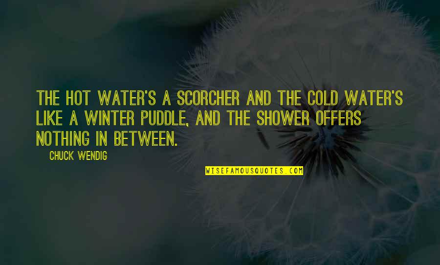 Hot Shower Quotes By Chuck Wendig: THE HOT WATER'S a scorcher and the cold