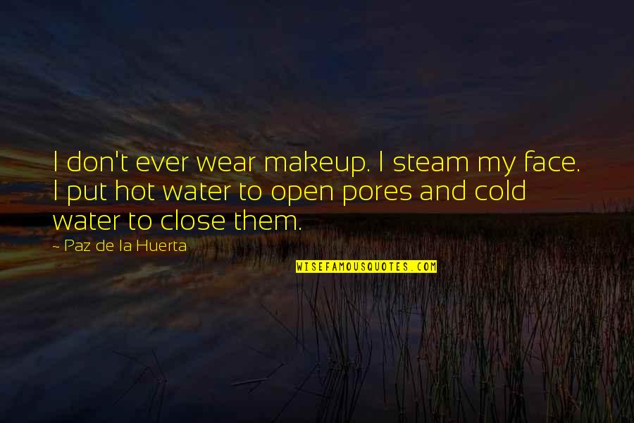 Hot To Cold Quotes By Paz De La Huerta: I don't ever wear makeup. I steam my Hot To Cold Quotes By Paz De La Huerta: I don't ever wear makeup. I steam my