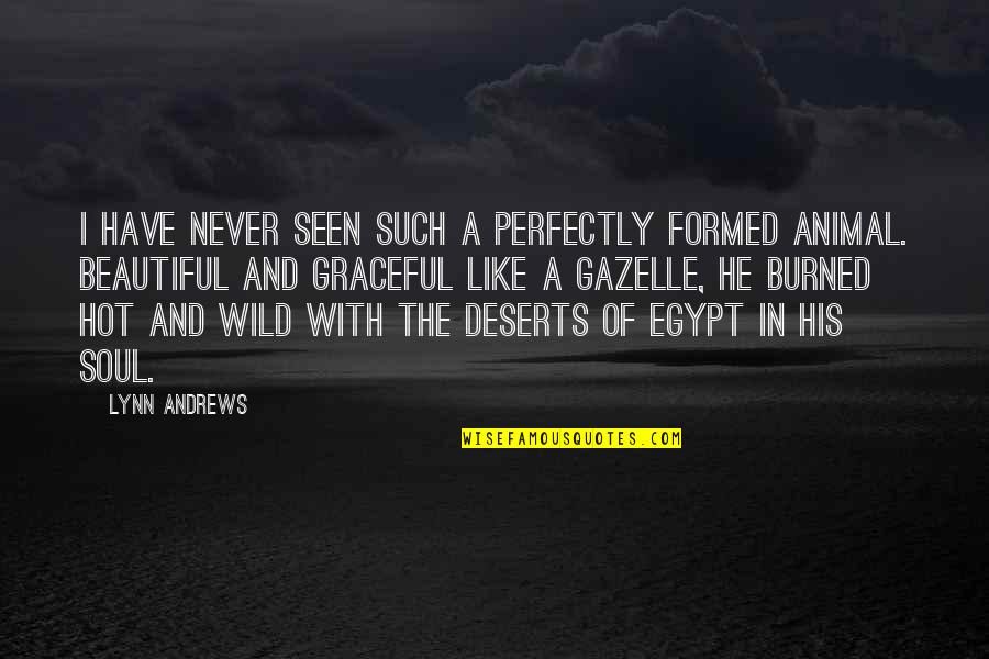 Hot Vs Beautiful Quotes By Lynn Andrews: I have never seen such a perfectly formed Hot Vs Beautiful Quotes By Lynn Andrews: I have never seen such a perfectly formed