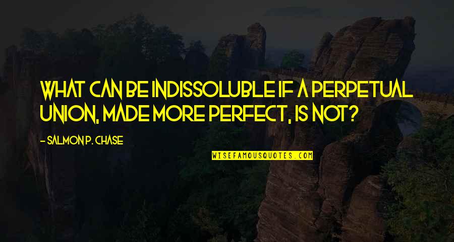 Hotary Quotes By Salmon P. Chase: What can be indissoluble if a perpetual Union,