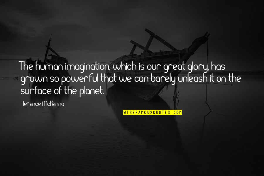 Hotel Management Funny Quotes By Terence McKenna: The human imagination, which is our great glory,