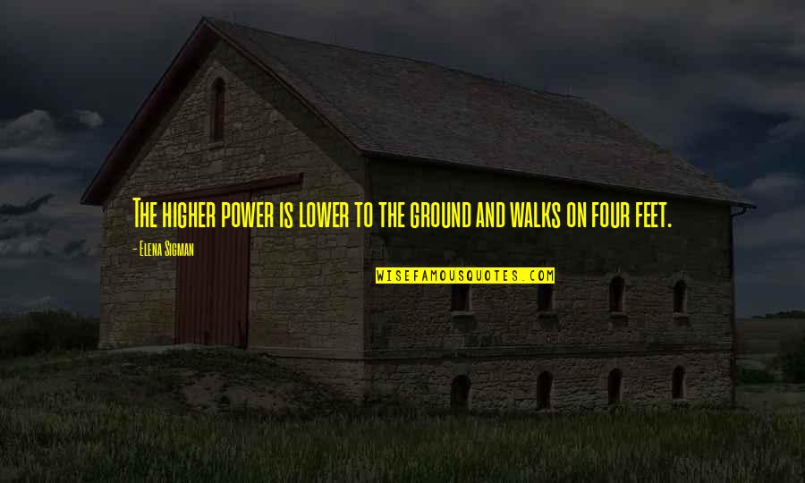 Hotest Quotes By Elena Sigman: The higher power is lower to the ground