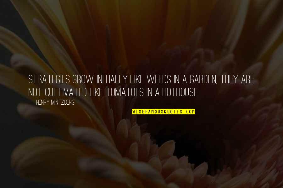 Hothouse Quotes By Henry Mintzberg: Strategies grow initially like weeds in a garden,